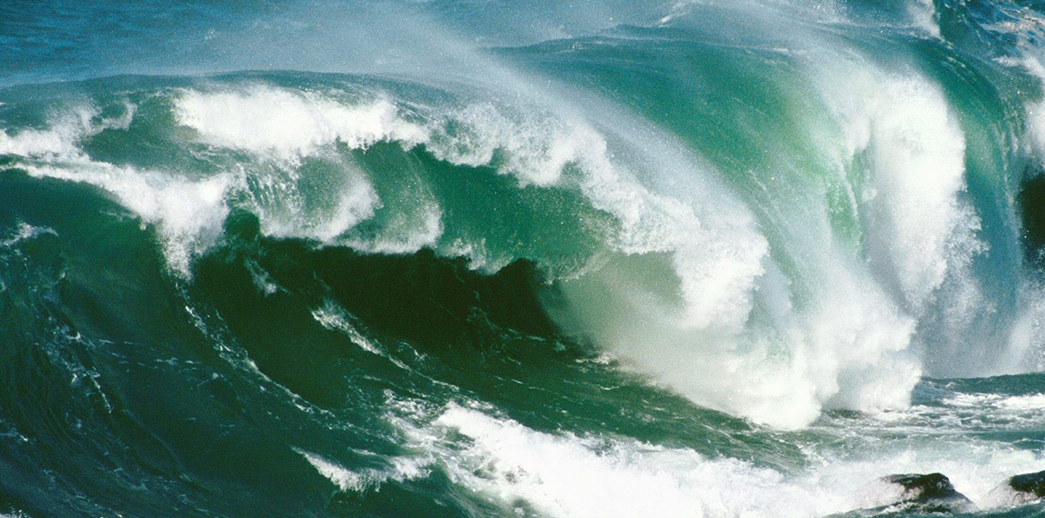 New Zealand Waves